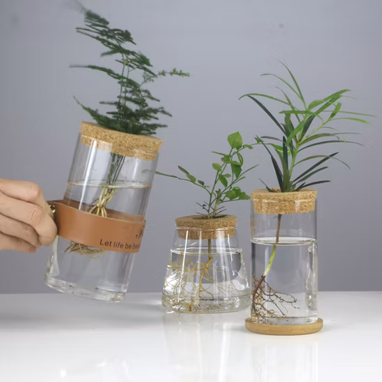 Planter Terrariums Hydroponic Glass Vases Propagation Station Containers with Lids and Stands